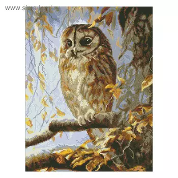 Набор алмазной мозаики «Хозяйка леса»