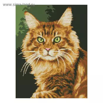 Набор алмазной вышивки «Рыжик»