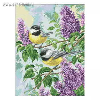 Набор алмазной мозаики «Синички»