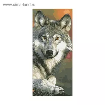 Набор алмазной вышивки «Волк»