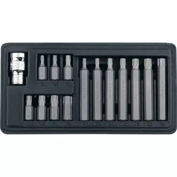 Набор бит Stels 11315, Torx, шестигранный хвостовик 10 мм, T20 - T55, 15 шт.