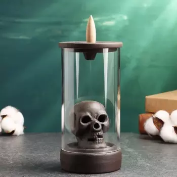 Подставка для благовоний TAKE IT EASY «Череп», набор благовоний конусы, стелющийся дым, 816.5 см