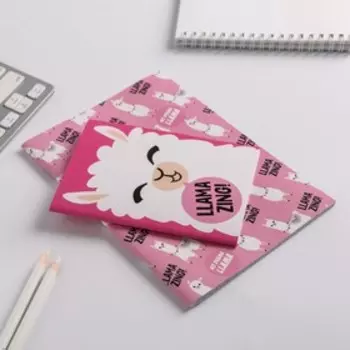 Набор Блокнотов А6, А5 LLamazing, 32 листа