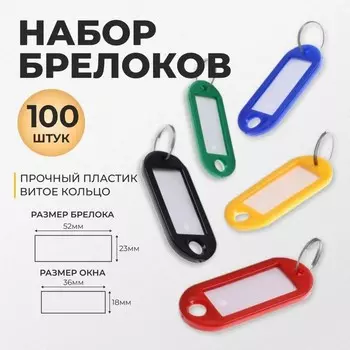 Набор брелоков для ключей на кольце «Идентификатор», 53 мм, 100 шт., МИКС