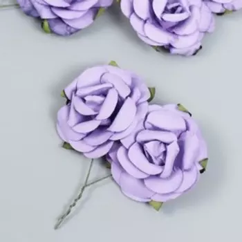 Набор бумажных цветов и тычинок "Astra" для творчества и скрапбукинга, ассорти №5