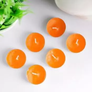 Набор свечей ароматических чайных «Сочное манго», в подарочной коробке, 6 шт.