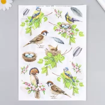 Набор декупажных карт 6 шт «Птицы»