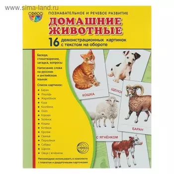 Набор демонстрационных плакатов "Домашние животные" 173х220 мм