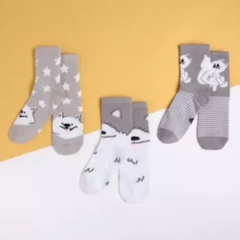 Набор детских носков KAFTAN "Собачка" 3 пары, р-р 14-16