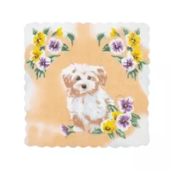 Набор детских носовых платков Etteggy, 25х25 см- 6шт, ситец