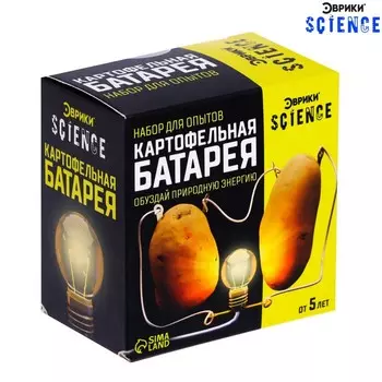 Набор для опытов «Картофельная батарейка»