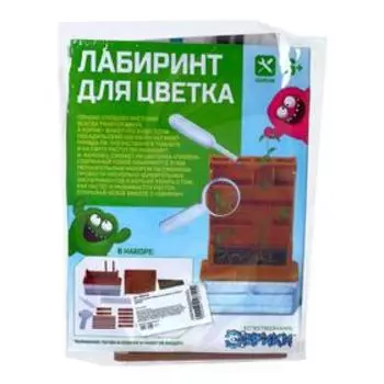 Набор для опытов «Лабиринт для цветка», в пакете