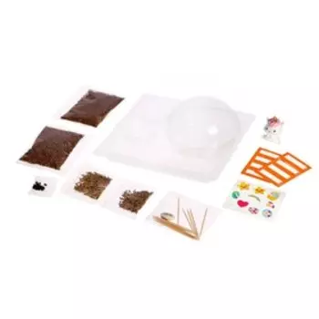 Набор для опытов «Мой мини сад»