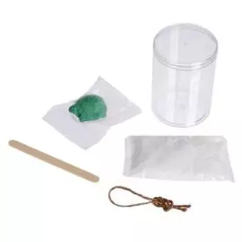 Набор для опытов «Морской сад»