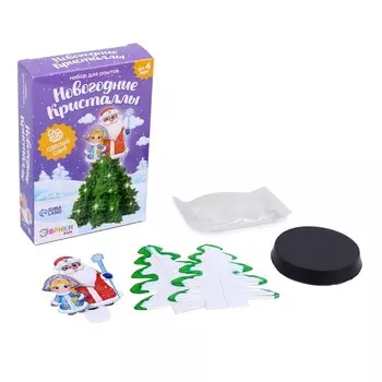 Раскопки «Новогодние кристаллы», Дед Мороз и снегурочка