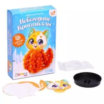 Набор для опытов «Новогодние кристаллы: Котик»