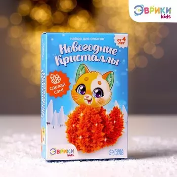 Набор для опытов «Новогодние кристаллы: Котик»