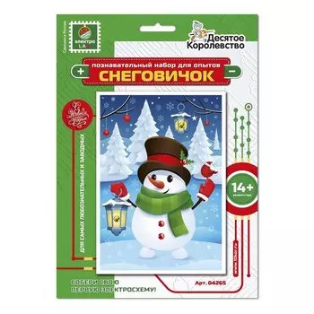 Набор для опытов «Снеговичок»