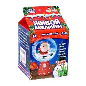 Набор для опытов «Живой аквариум: Дед Мороз»