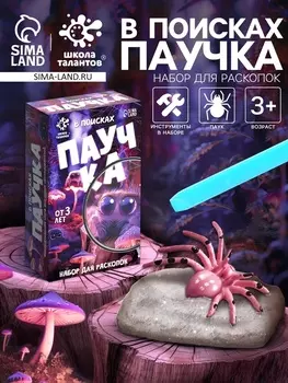 Раскопки «В поисках паучка»