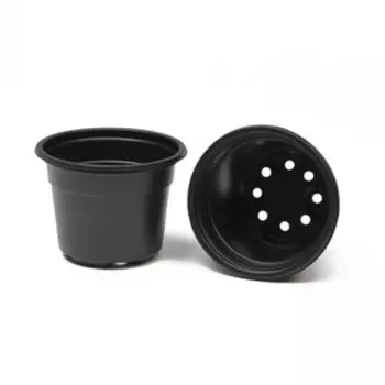 Набор для рассады: стаканы по 260 мл (12 шт.), поддон 40 × 29,5 см, чёрный, Greengo