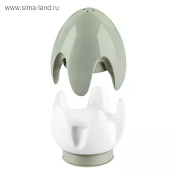 Набор для соли и перца Eiei 50 мл, эвкалиптовый