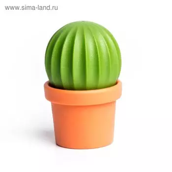 Набор для специй Cactus