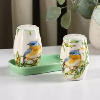 Набор для специй Доляна «Флора и Фауна», солонка, перечница 80 мл, доломит, белый, зелёный