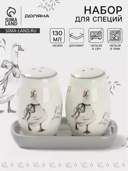 Набор для специй Доляна «Гуси», 2 предмета: солонка, перечница 130 мл, доломит, белый