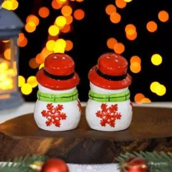 Набор для специй Доляна «Снеговик», 2 предмета: солонка, перечница, 80 мл