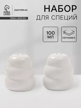 Набор для специй Доляна «Зефир», солонка, перечница, 100 мл, керамика, белый