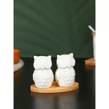 Набор фарфоровый для специй на бамбуковой подставке BellaTenero «Совы», 2 предмета: солонка 75 мл, перечница, 75 мл, белый