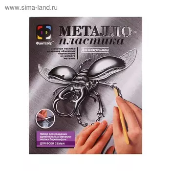 Набор для творчества «Джжентельмен. Жук» металлопластика, создание барельефа