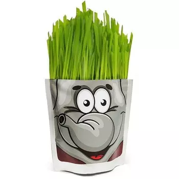 Набор для выращивания Happy Plant «Слон»