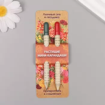 Набор для выращивания, карандаши подарочные «Львиный зев + гвоздика», mini, простые чернографитные, 2 шт.