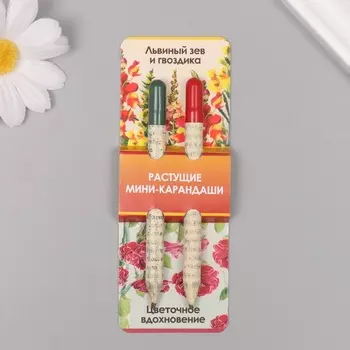 Набор для выращивания, карандаши подарочные «Львиный зев + гвоздика», mini, простые чернографитные, 2 шт.