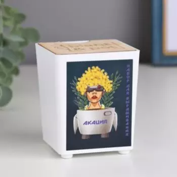 Набор для выращивания P&P "Акация"