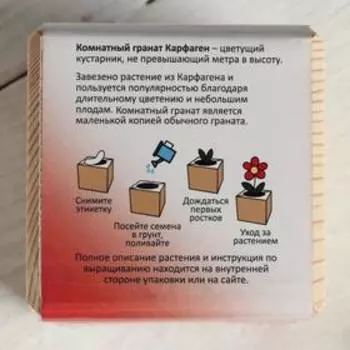Набор для выращивания P&P «Гранат комнатный, в кубе из дерева