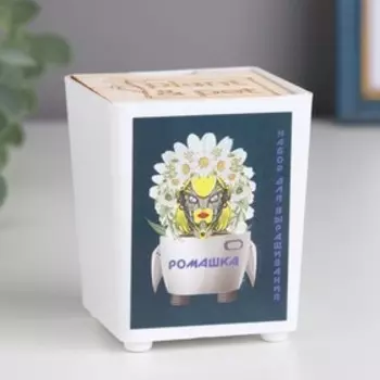 Набор для выращивания P P "Ромашка"