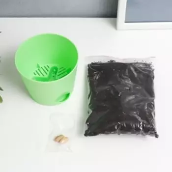 Набор для выращивания растений "Тысяча листьев! Фисташка"