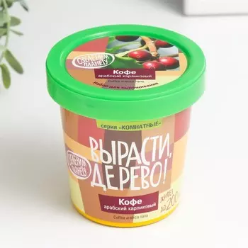 Набор для выращивания растений "Вырасти, Дерево! Кофе арабский"