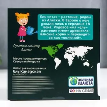 Набор для выращивания с глиняным горшочком (Ель Канадская)