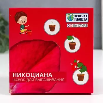Подарочный набор для выращивания с глиняным горшочком (Никоциана)