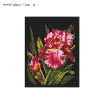 Набор для вышивания «Бархатный ирис»