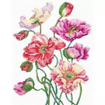 Набор для вышивания «Дикие маки»
