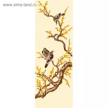 Набор для вышивания «Китайские мотивыСойки»