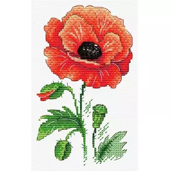 Набор для вышивания «Красный мак», 17 11 см