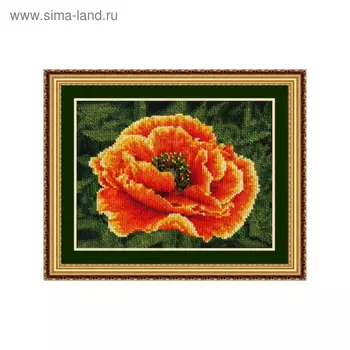 Набор для вышивания «Пылающий мак»