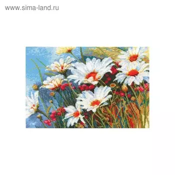 Набор для вышивания «Ромашковое поле»
