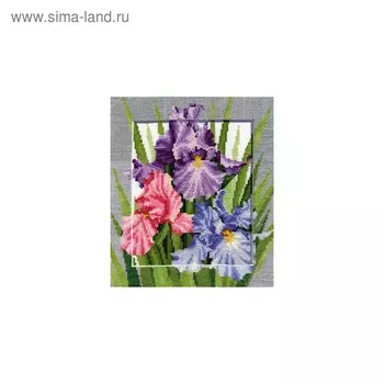 Набор для вышивания «Символы. Богатство»